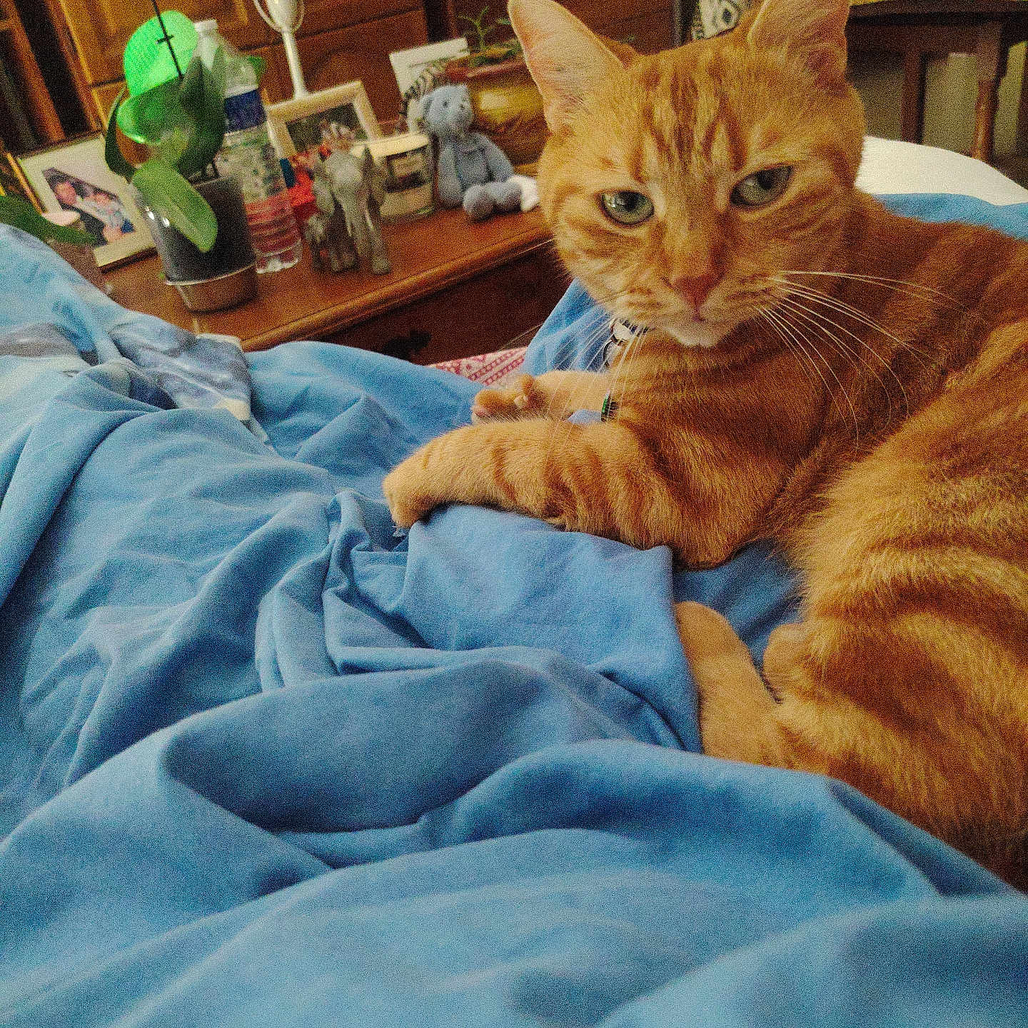 Tigrou