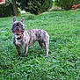 Julie participe au concours pour gagner de l'argent avec cette photo :