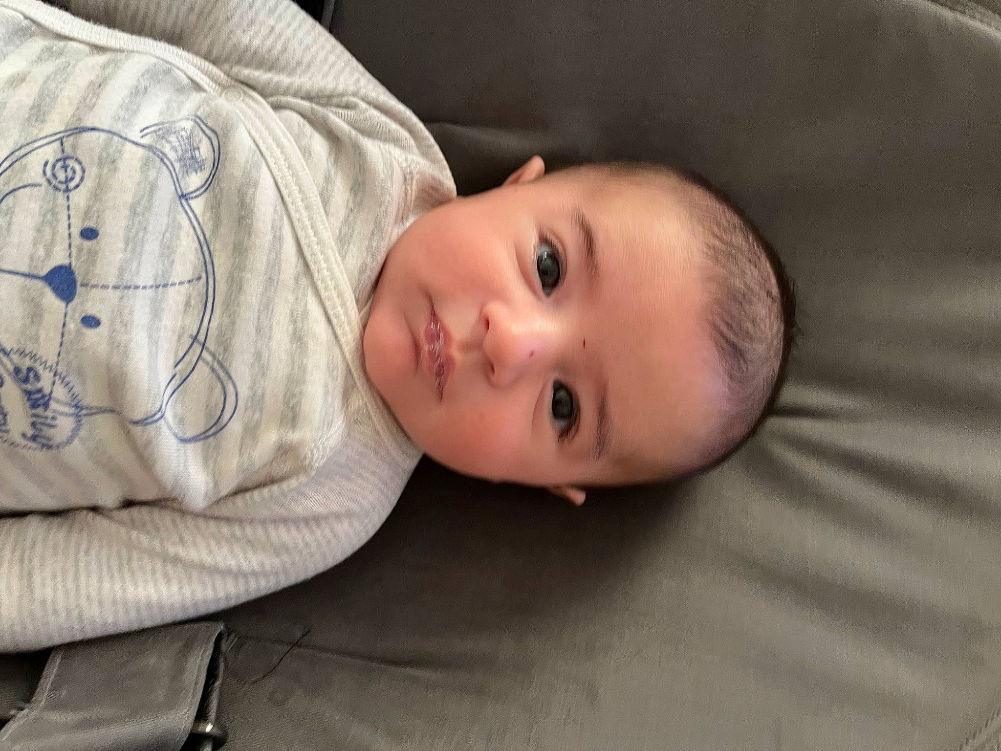 Ayden a rejoint le concours — aidez-le/la à gagner de superbes lots ! baby, baby_toddler_clothing, cheek, child, collar, comfort, flash_photography, fur, grass, lip, nose, person, portrait_photography, sitting, sleeve, toddler, wood