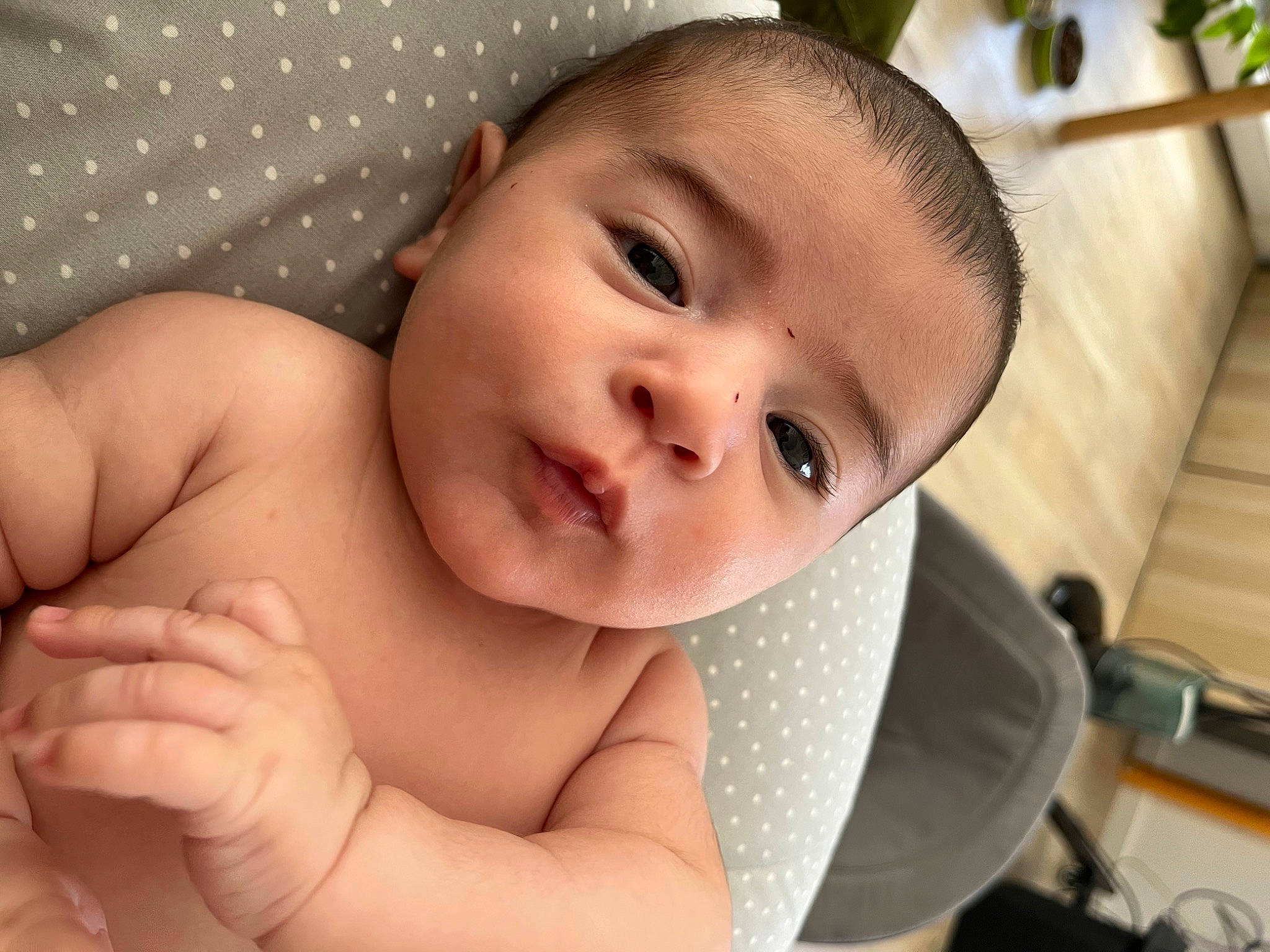 Ayden participe au concours pour gagner de l'argent avec cette photo : baby, black_hair, cheek, chest, child, comfort, ear, eyelash, forehead, gesture, happy, iris, lip, mouth, neck, nose, person, skin, smile, thumb