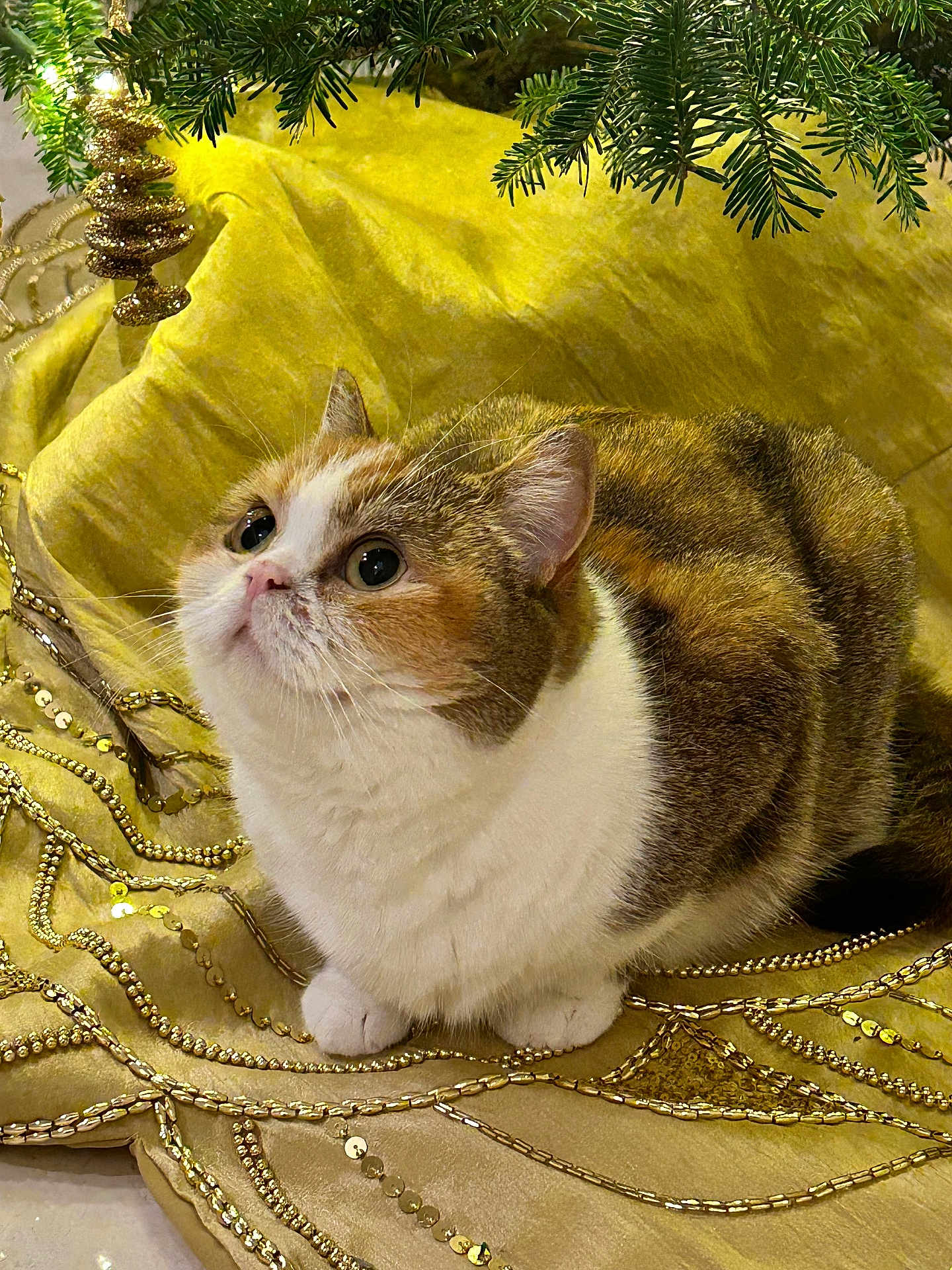 Lilah