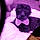 Jack