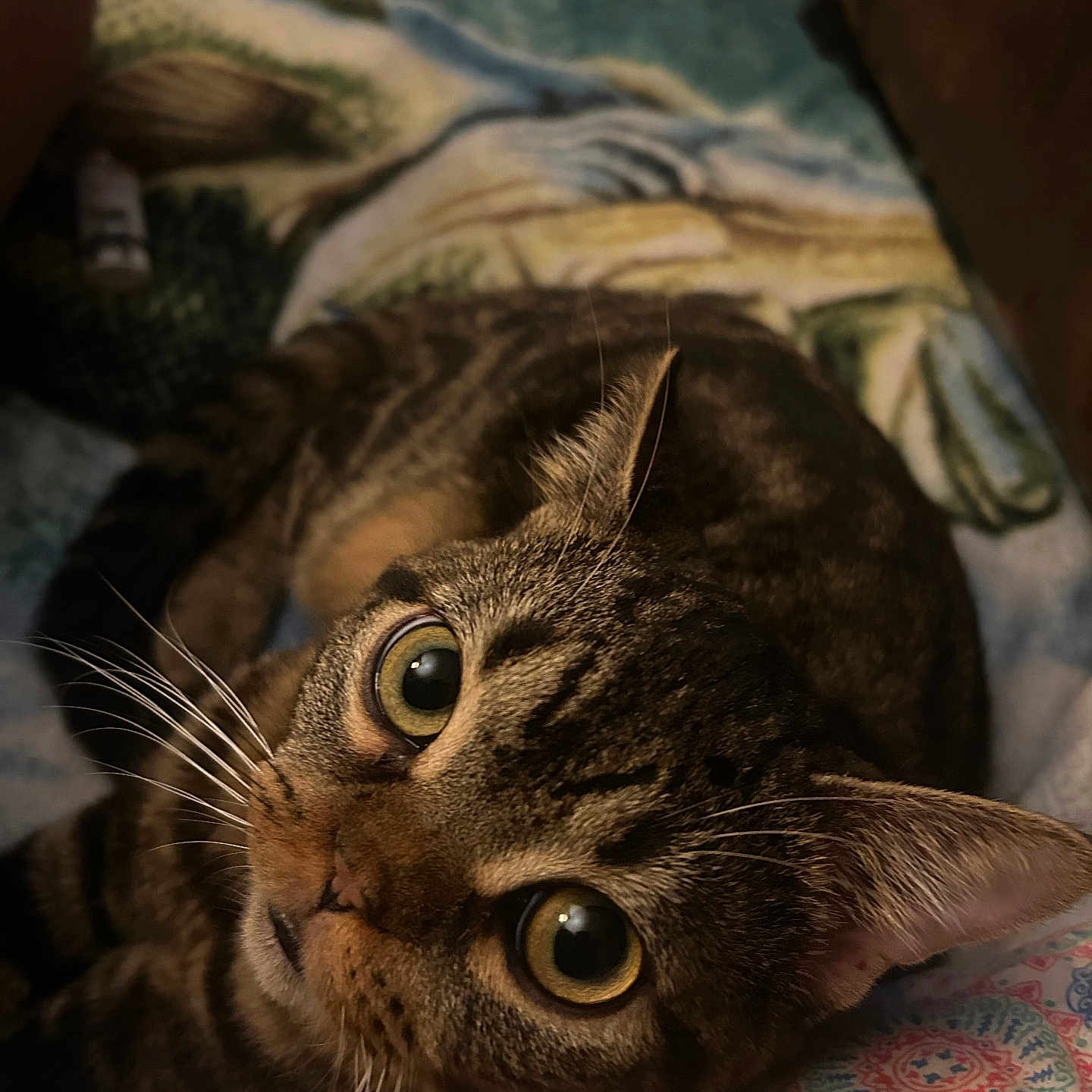Lyle