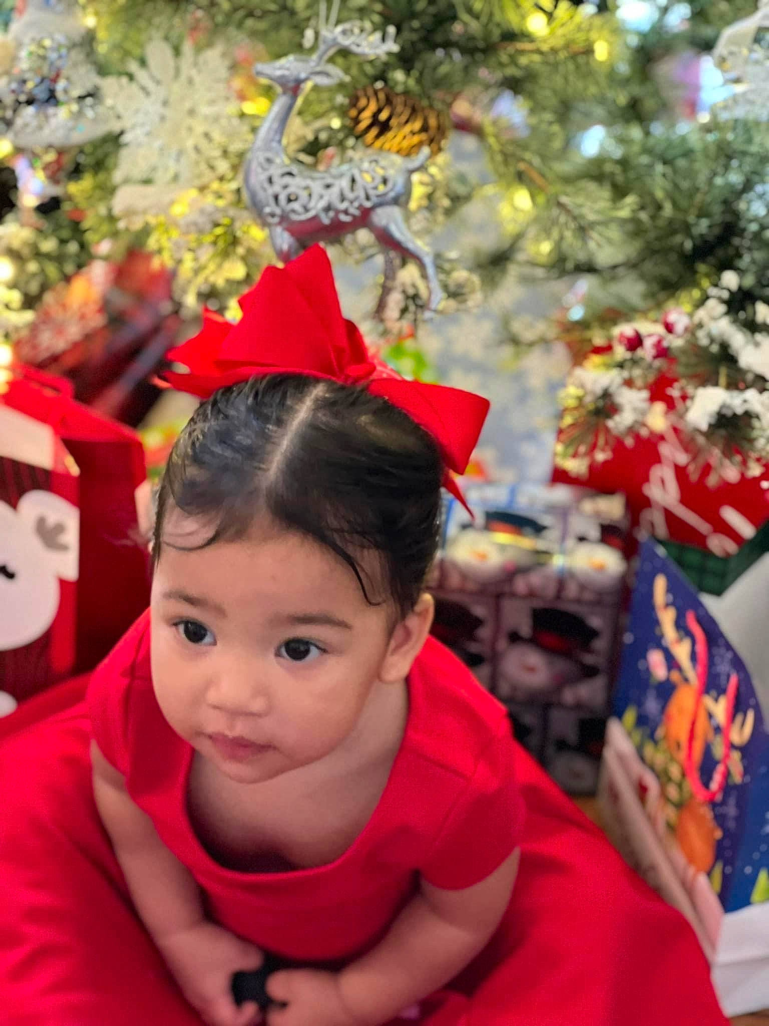 Aubrie is registered to the contest to win money with this photo: child, christmas, christmas_decoration, christmas_eve, christmas_ornament, christmas_tree, community, costume_hat, event, fashion, fun, happy, holiday, holiday_ornament, leisure, ornament, person, photograph, red, snapshot
