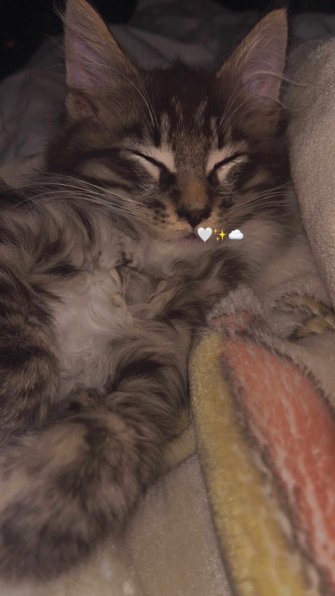 Loki