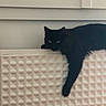 black_cat, cat, pet, animal, indoor, radiator, relaxing, paw, texture, white, furniture, cozy, window, curious, domestic_cat, mammal, resting, fur, whiskers, home