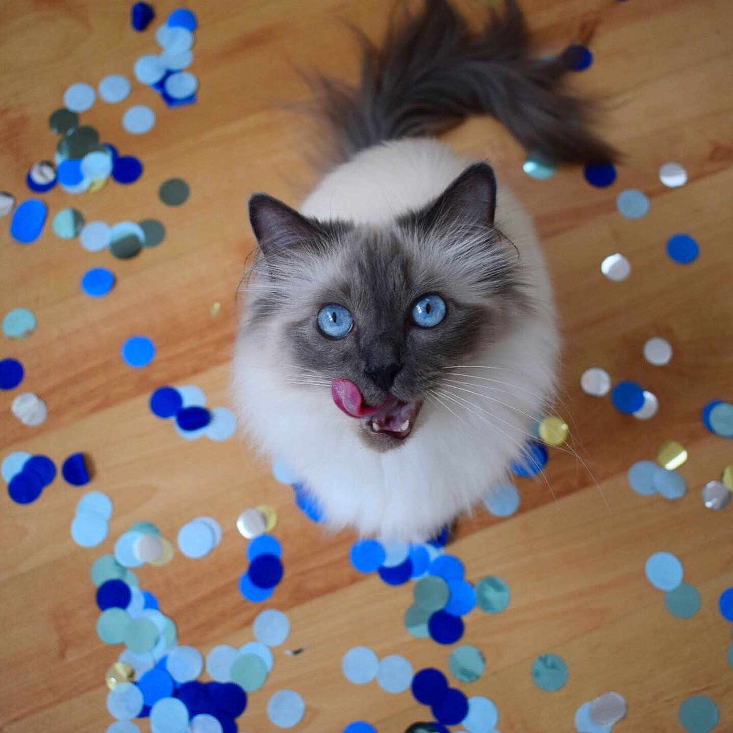 Léona