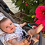 Nina-Rose participe au concours pour gagner de l'argent avec cette photo : baby, stroller, sunglasses, flower, pink_flower, greenery, outdoor, child, infant, cute, summer, nature, curious, blue_eyes, clothing, seatbelt, foot, hand, skin, sunlight
