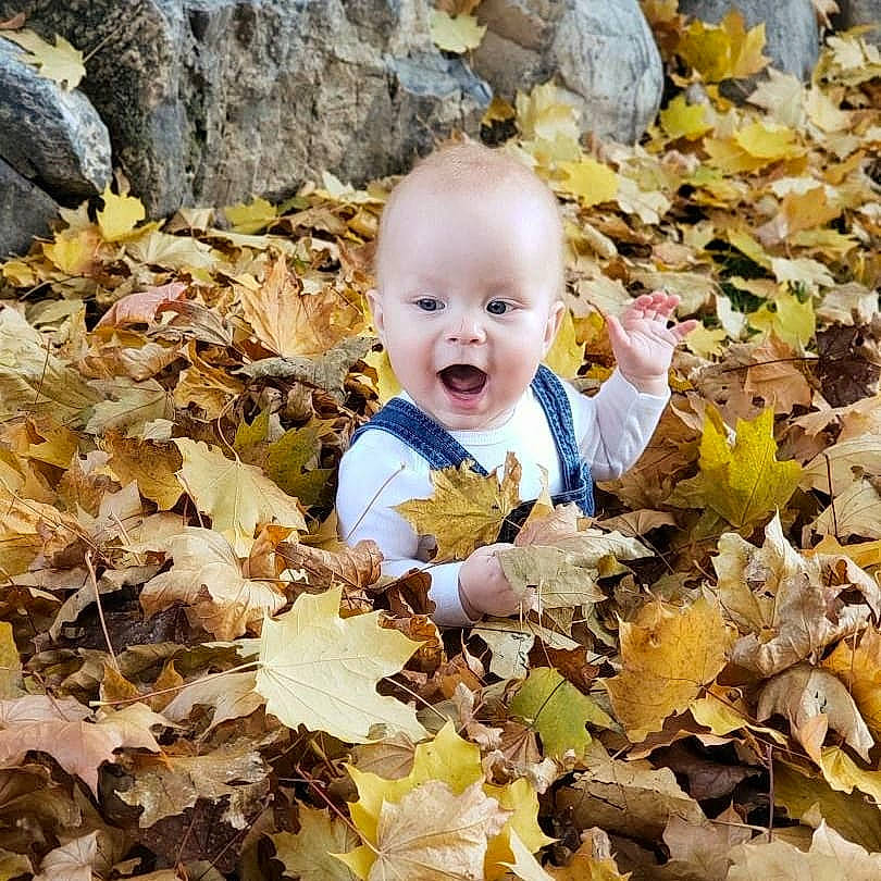 Henry is registered to the contest to win money with this photo: autumn, baby, baby_toddler_clothing, child, deciduous, facial_expression, grass, happy, landscape, laugh, natural_landscape, nature, people_in_nature, person, portrait_photography, smile, surprise, tints_and_shades, toddler, wilderness
