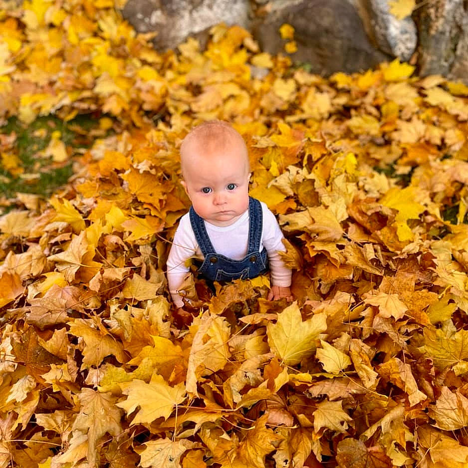 Henry joined the competition — help win amazing prizes! baby, biome, branch, deciduous, grass, happy, head, natural_landscape, nature, people_in_nature, person, soil, spring, sunlight, tints_and_shades, toddler, wilderness, wood, woodland, woody_plant