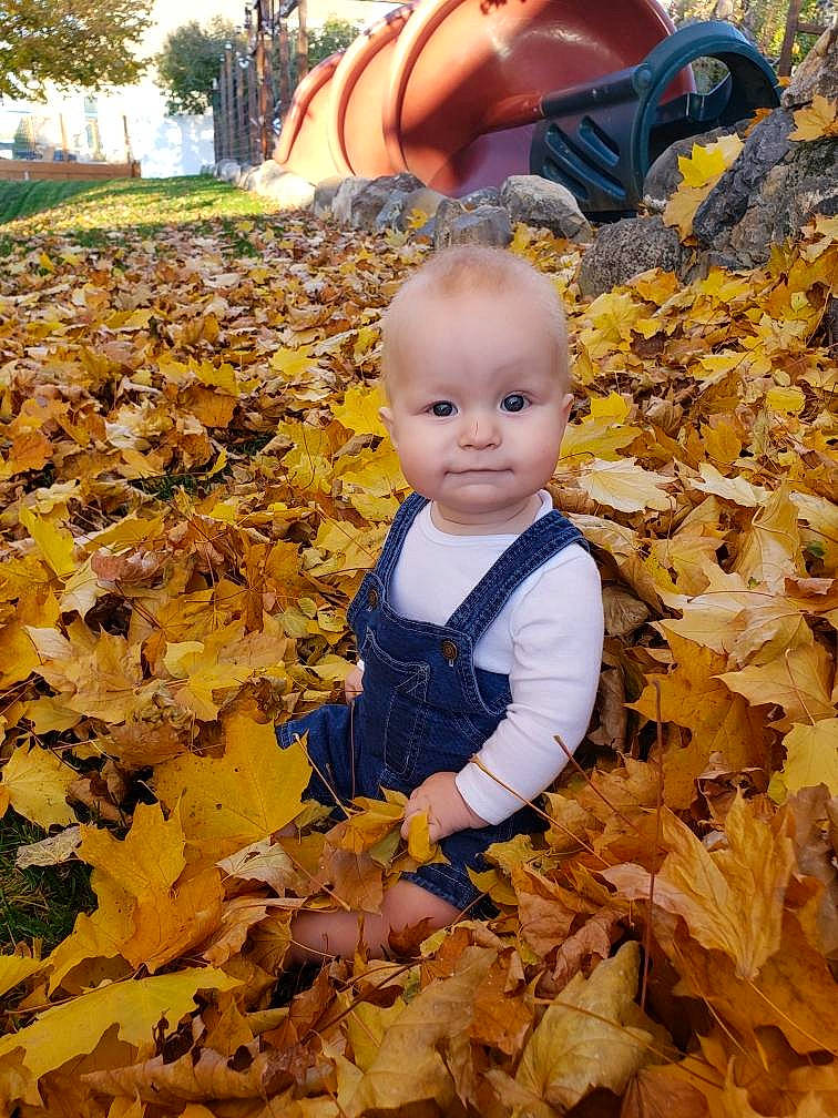 Henry joined the competition — help win amazing prizes! baby, beauty, deciduous, grass, leaf, light, natural_landscape, orange, people, people_in_nature, person, photograph, plant, spring, sunlight, tints_and_shades, toddler, tree, wilderness, wood