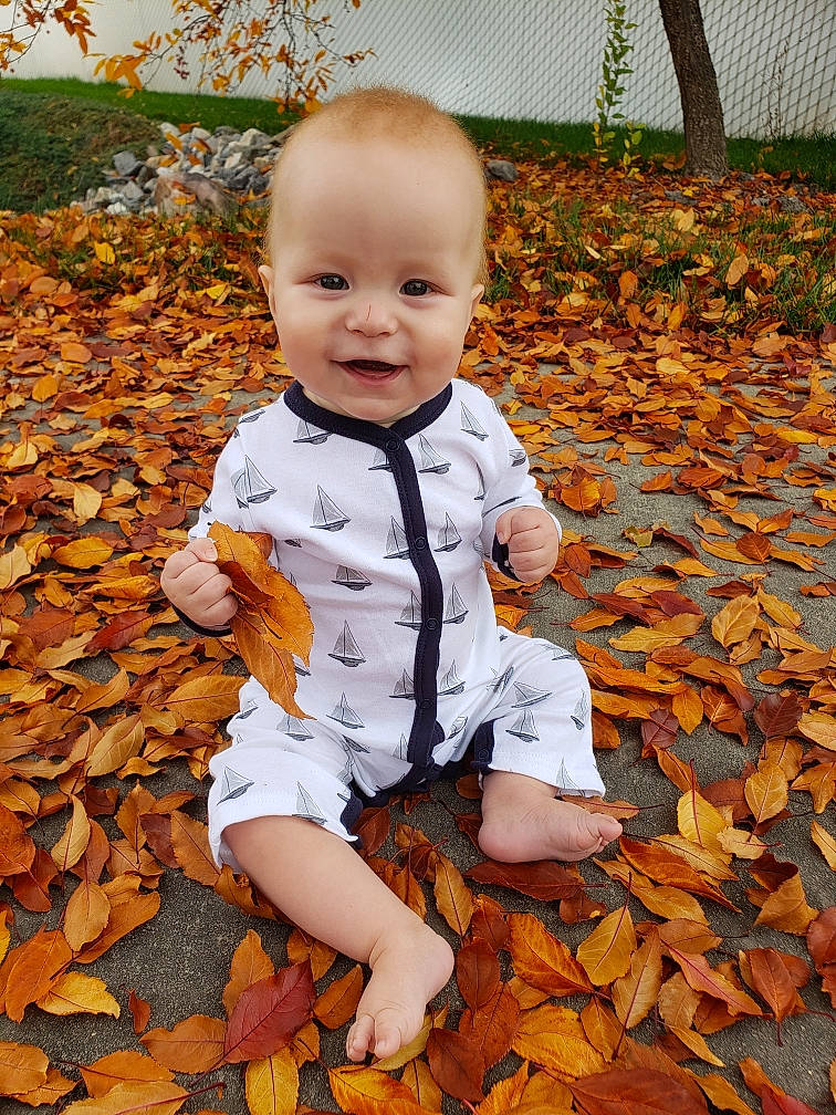 Henry joined the competition — help win amazing prizes! baby, baby_toddler_clothing, child, deciduous, flooring, foot, grass, happy, human_leg, leaf, orange, people_in_nature, person, plant, sitting, smile, standing, tints_and_shades, toddler, tree
