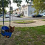 dog, small_dog, swing, baby_swing, park, playground, chain, trees, grass, sidewalk, street, row_houses, cars, neighborhood, suburban, evening, leaves, blue, pet, happy