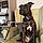 Narla