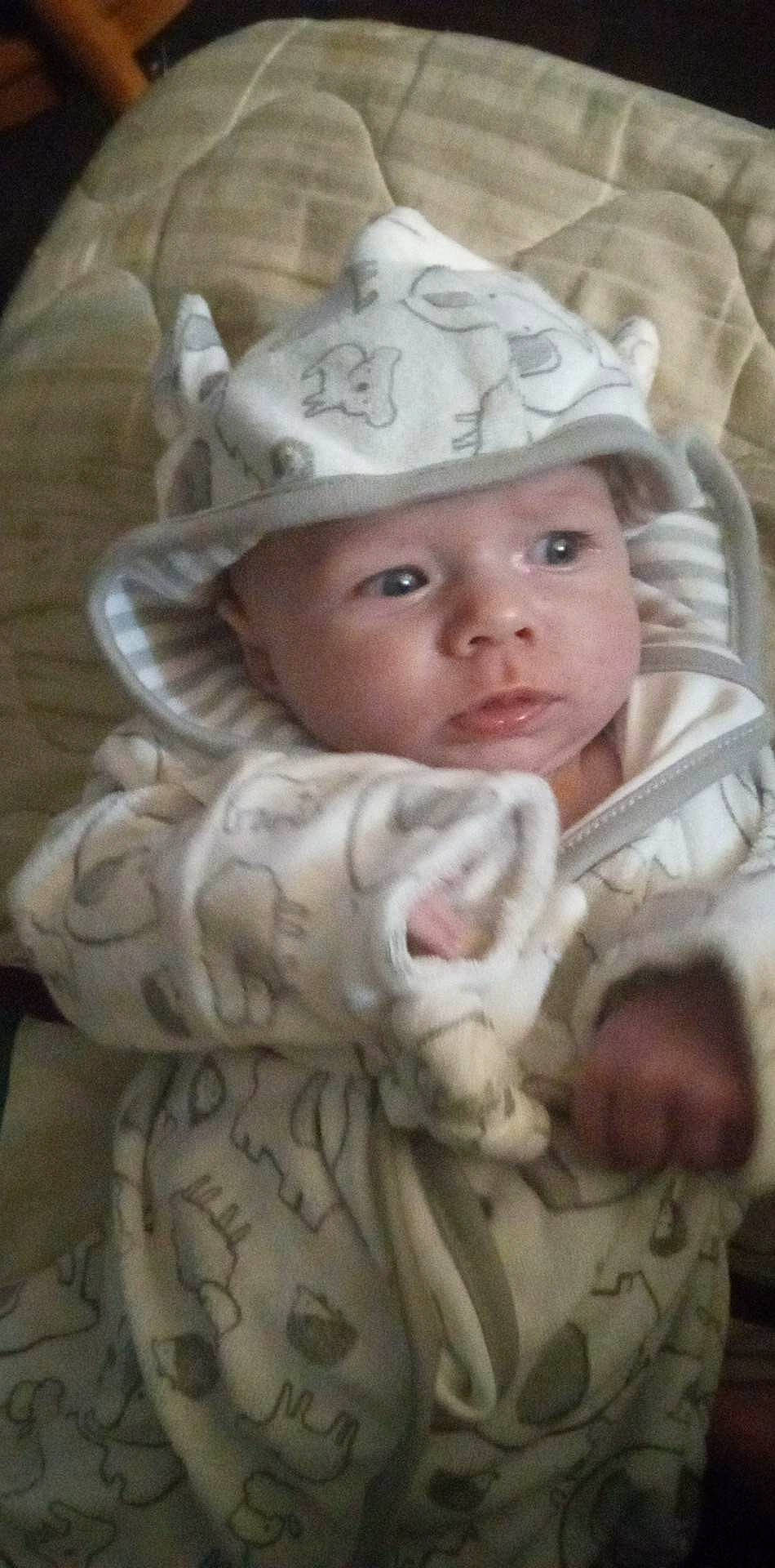 Rein joined the competition — help win amazing prizes! baby, baby_toddler_clothing, cap, cheek, child, chin, comfort, eye, fashion_accessory, fun, fur, happy, head, headgear, headwear, iris, lip, mouth, nose, person