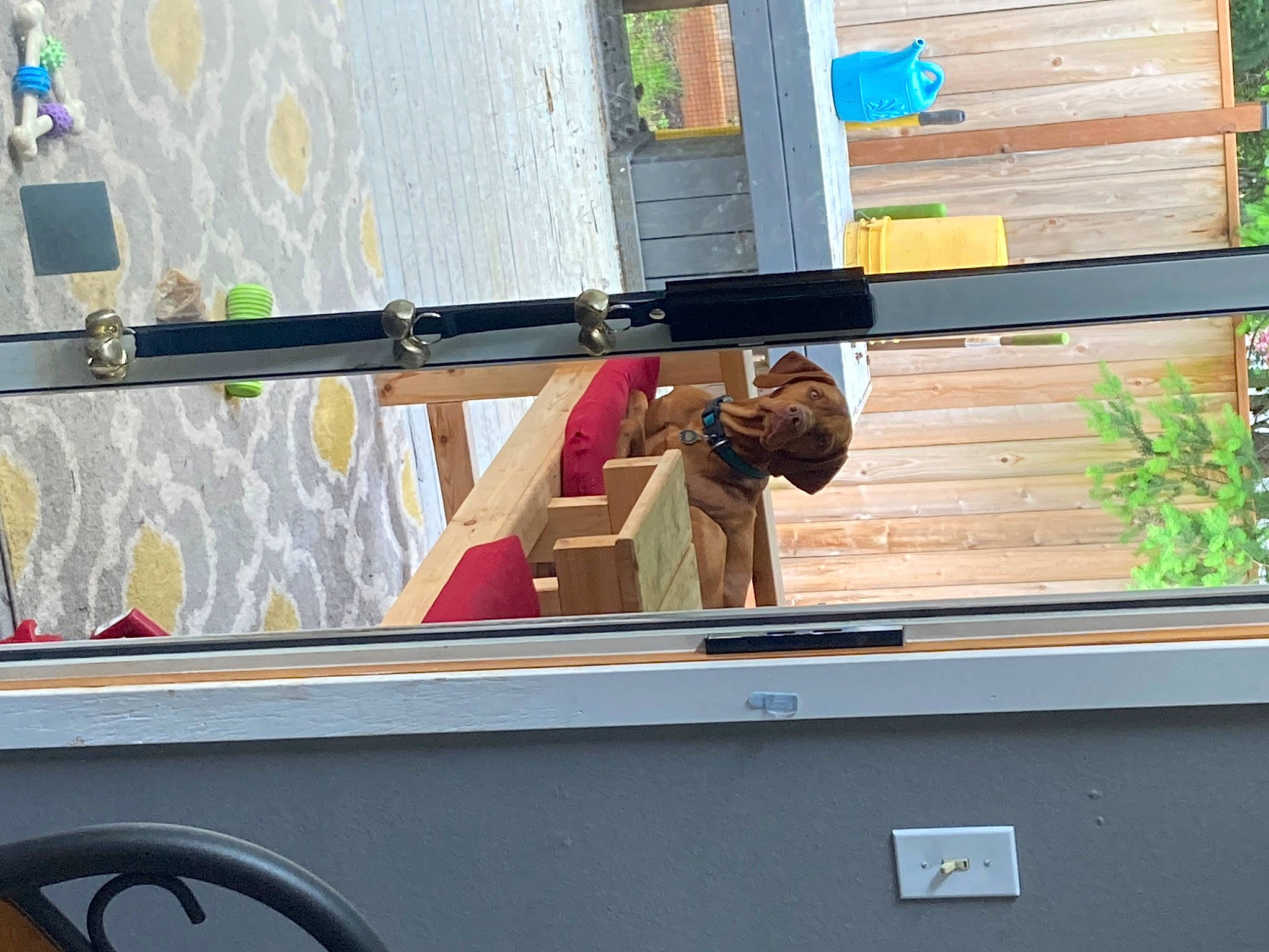 Rudi is registered to the contest to win money with this photo: automotive_exterior, beam, boats_and_boating_equipment_and_supplies, daylighting, facade, glass, hardwood, herb, house, lumber, metal, plant, plywood, recreation, roof, siding, steel, transport, wood, wood_stain