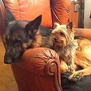 Grolou participe au concours pour gagner de l'argent avec cette photo :
