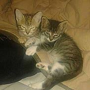 Nala Poumba participe au concours pour gagner de l'argent avec cette photo :