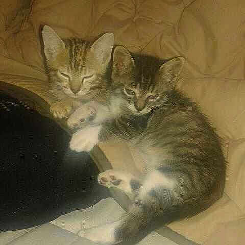 Nala Poumba participe au concours pour gagner de l'argent avec cette photo :