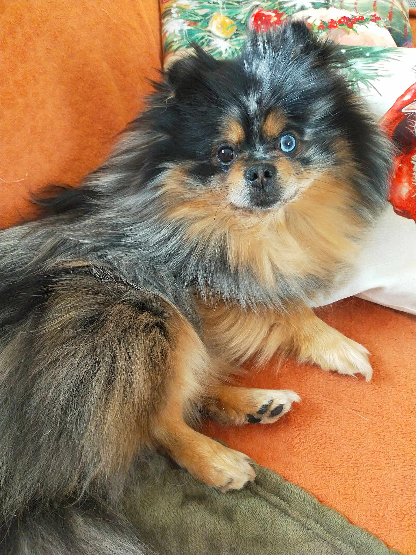 Ulysse