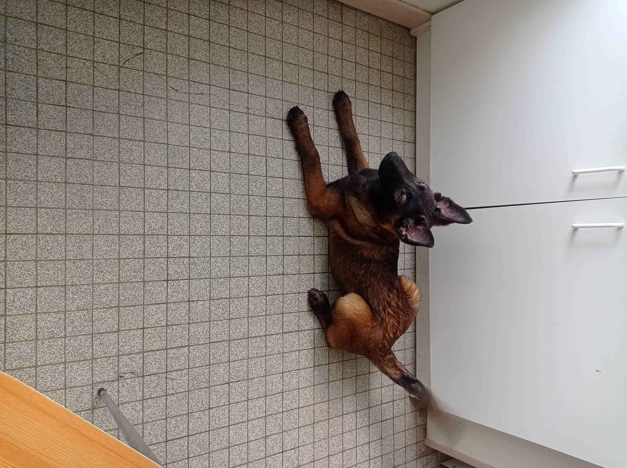 Umy a rejoint le concours — aidez-le/la à gagner de superbes lots ! art, brickwork, bronze_sculpture, ceiling, door, elbow, fawn, floor, flooring, hardwood, hat, metal, room, sculpture, shotgun, sporting_group, statue, tail, visual_arts, wood