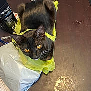 Stella is registered to the contest to win money with this photo: