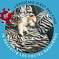 Sébastien D.