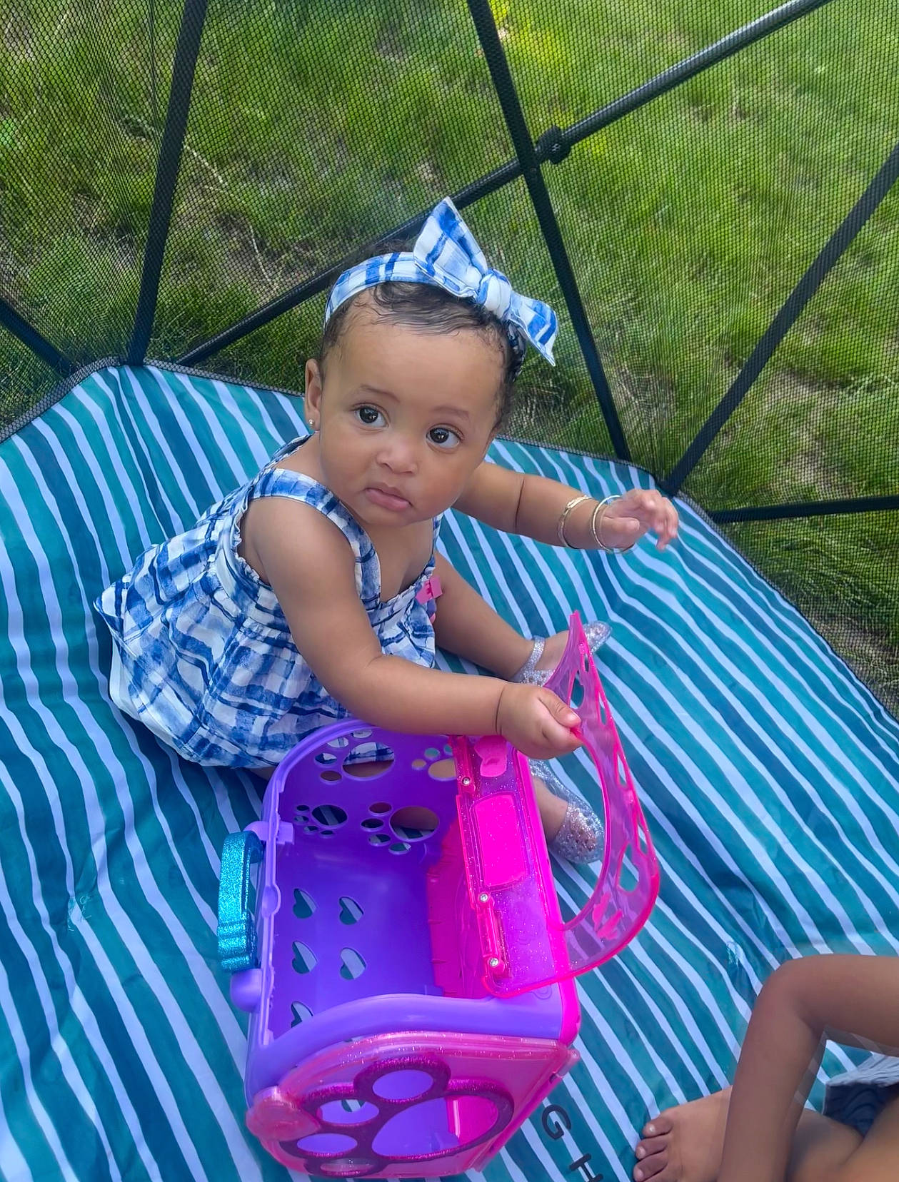 Halo joined the competition — help win amazing prizes! baby_products, baby_toddler_clothing, bumper, child, electric_blue, fashion_accessory, fence, fun, grass, happy, leisure, magenta, pattern, person, plant, purple, recreation, sandal, sitting, toddler