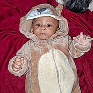 Kalilla is registered to the contest to win money with this photo: animal, baby, bear_costume, blanket, child, costume, cute, dog, eyes, face, furry, hand, hood, indoor, infant, lying_down, pet, portrait, red_blanket, zipper