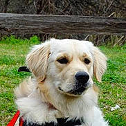 Lucy joined the competition — help win amazing prizes!