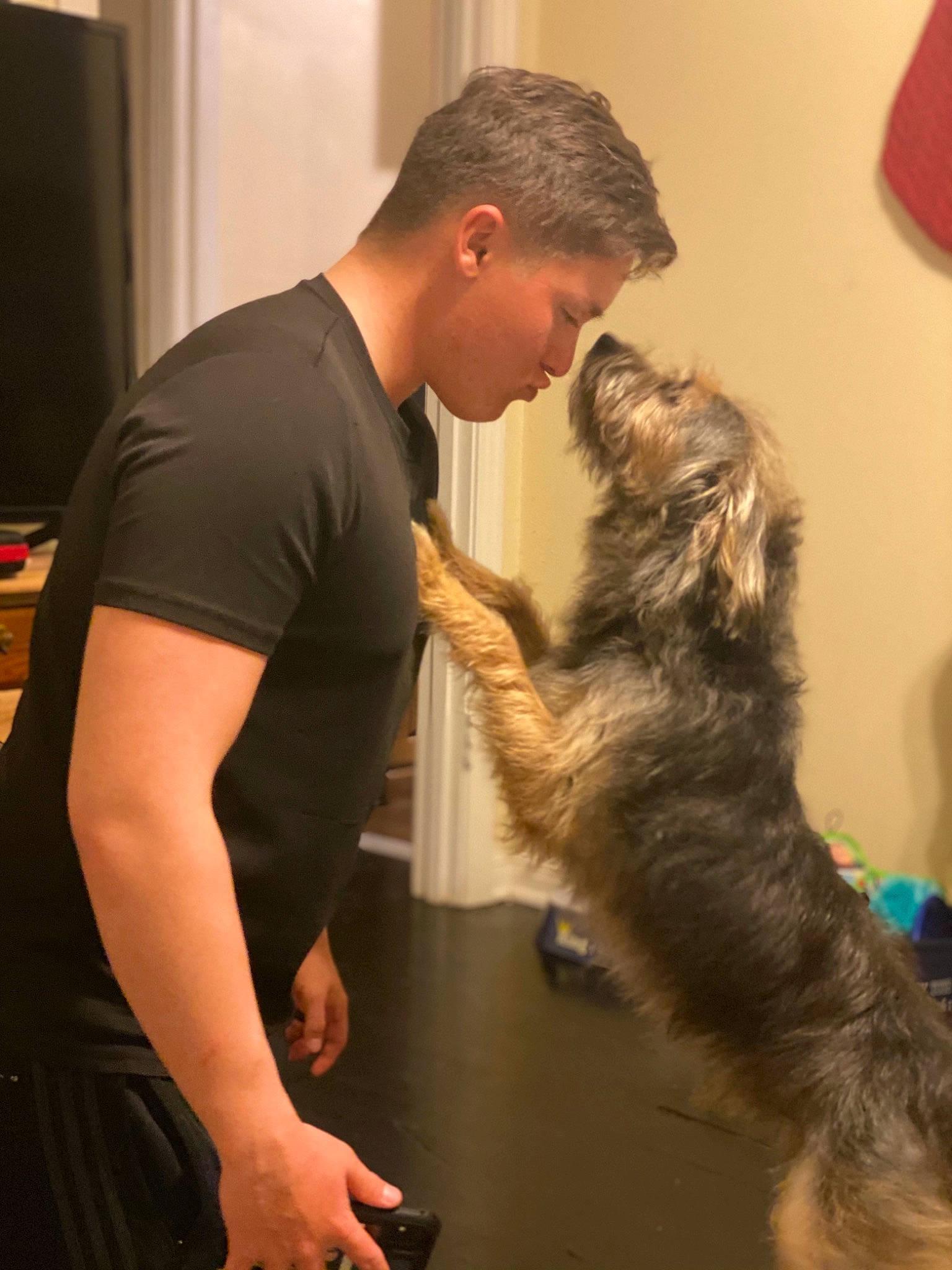 Beetle joined the competition — help win amazing prizes! carnivore, companion_dog, computer_monitor, dog, dog_breed, elbow, flooring, fur, schnauzer, small_terrier, sporting_group, t_shirt, television, terrier, toy_dog, working_dog