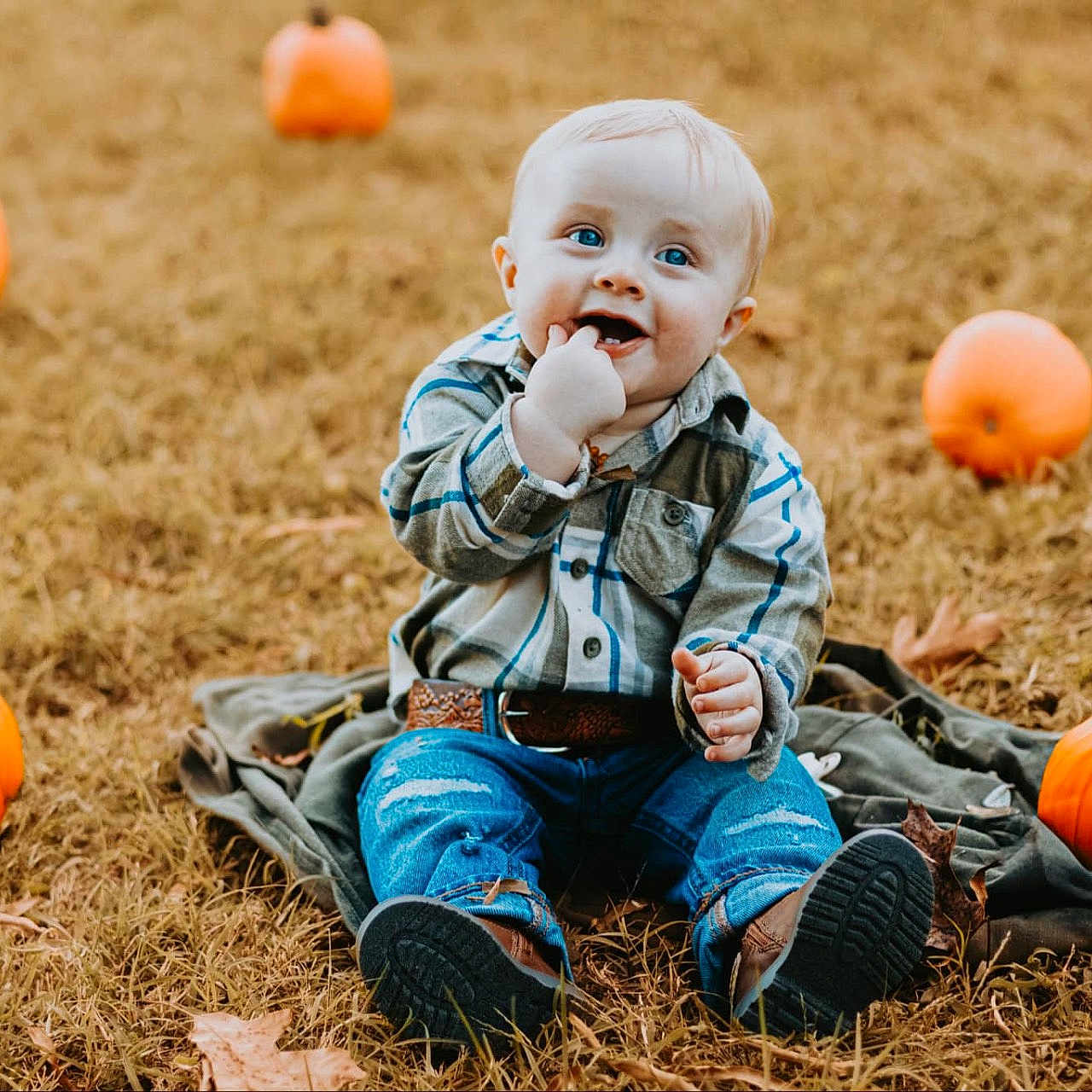 Greyson joined the competition — help win amazing prizes! accessories, baby, belt, clothing, face, festival, food, footwear, head, pants, person, photography, plant, portrait, produce, pumpkin, shoe, sitting, squash, vegetable