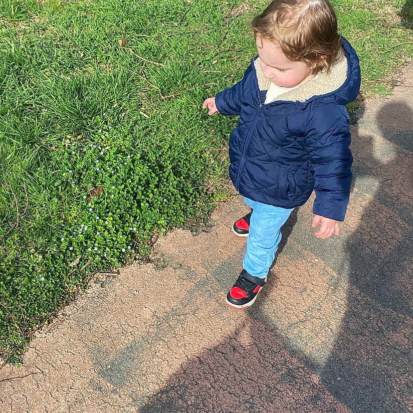 Liam participe au concours pour gagner de l'argent avec cette photo : clothing, coat, face, grass, head, jacket, jeans, nature, outdoors, pants, park, path, person, photography, plant, portrait, sidewalk, tree, vegetation, walking