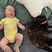 Maximillian is registered to the contest to win money with this photo: baby, infant, cat, tortoiseshell_cat, bed, pillow, onesie, socks, animal, pet, child, indoor, resting, cute, sleepwear, soft, furniture, mammal, companion, relaxed
