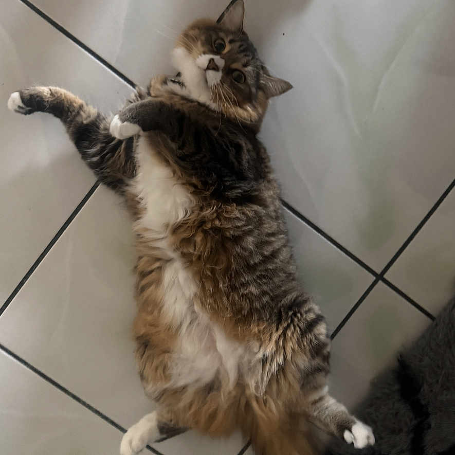 Rosie
