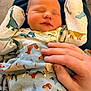 Everett is registered to the contest to win money with this photo: baby, blanket, closeup, clothing, cozy, cute, dinosaur_print, forest_print, hand, human, indoor, infant, lap, newborn, pajamas, peaceful, person, resting, sleeping, soft_lighting