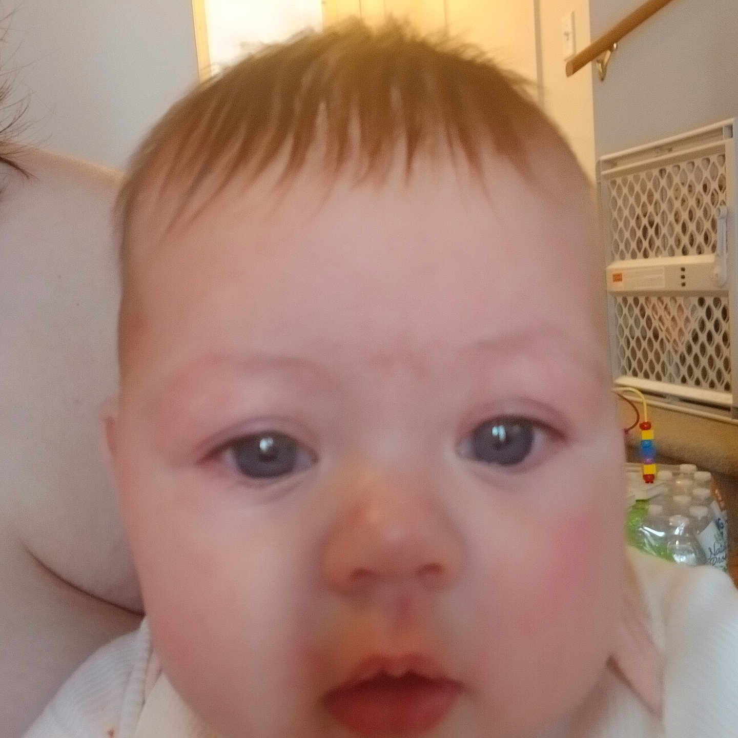 Aurora joined the competition — help win amazing prizes! baby, baby_gate, background, child, closeup, clothing, curious, eyes, face, hair, head, household, indoor, infant, mouth, person, skin, soft_light, white, young