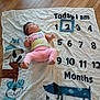 baby, infant, milestone_blanket, pink_pants, pastel_shirt, wooden_floor, cartoon_dogs, months, numbers, lying_down, child, cute, milestone, floor, colorful, clothing, baby_girl, pattern, celebration, age_marker