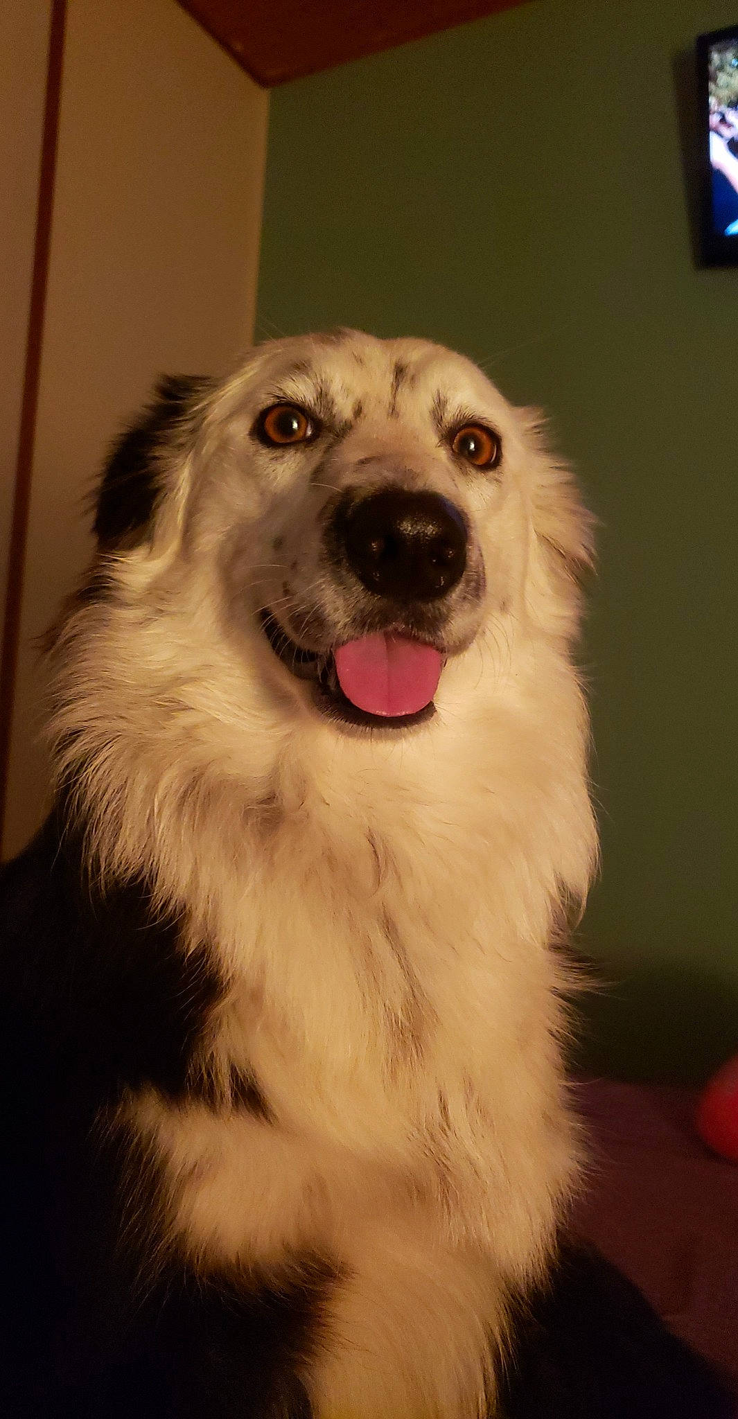 Rocket