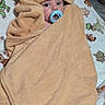 baby, infant, child, portrait, face, eyes, pacifier, hood, bear_costume, blanket, bedding, cozy, bundled, lying_down, indoors, sleeping_area, cute, cuddly, brown, patterned_fabric