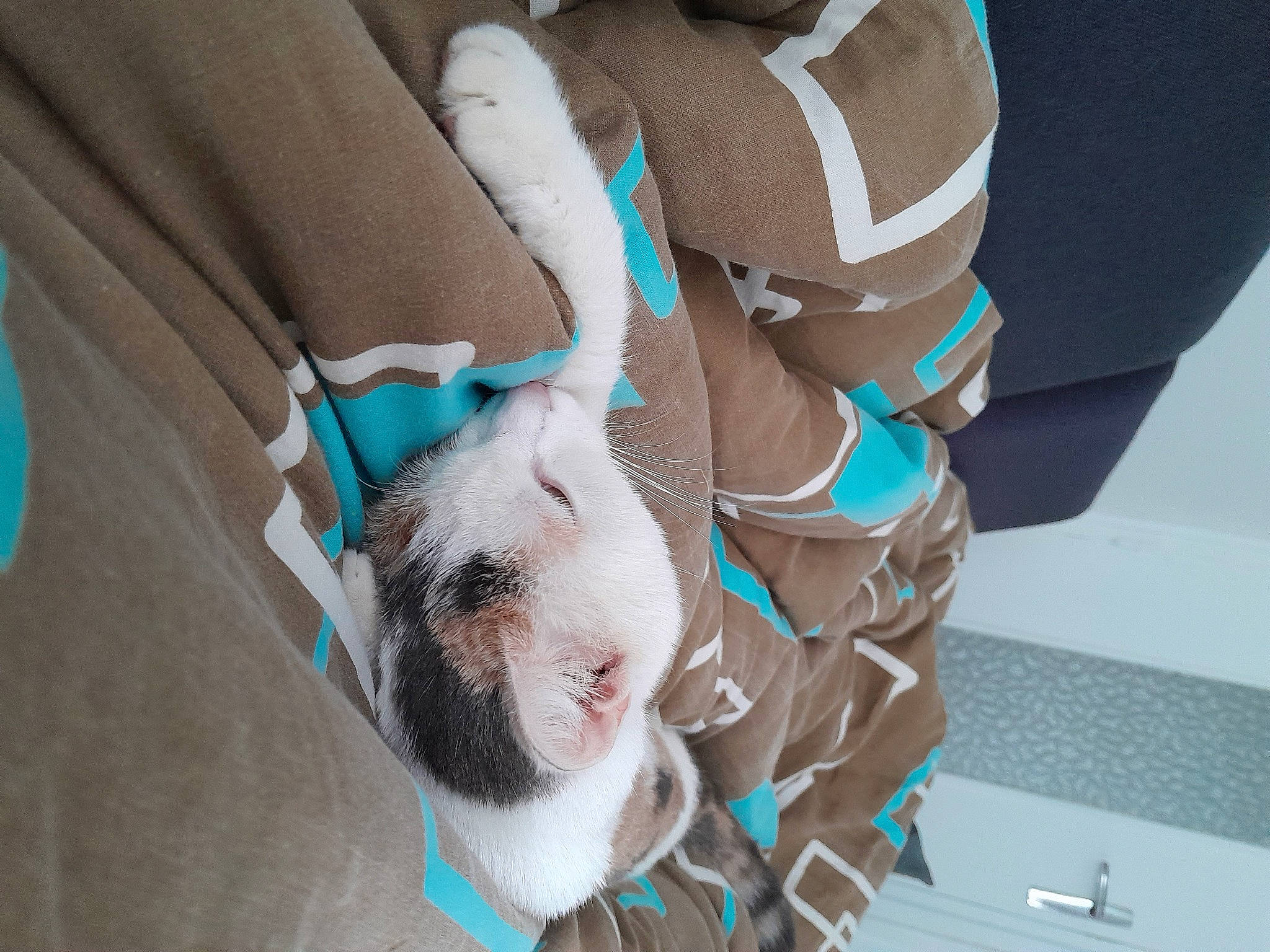 Gaufrette participe au concours pour gagner de l'argent avec cette photo : abdomen, arm, baby_products, beard, comfort, elbow, eyewear, fun, gesture, hand, happy, human_body, human_leg, leg, leisure, plant, sitting, sunglasses, thigh, tree