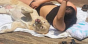 Bud joined the competition — help win amazing prizes! barefoot, casual, companion, deck, dog, grass, leisure, outdoor, person, pet, pillow, potted_plant, relaxation, sandals, summer, sunbathing, sunny, tongue_out, towel, wooden_floor