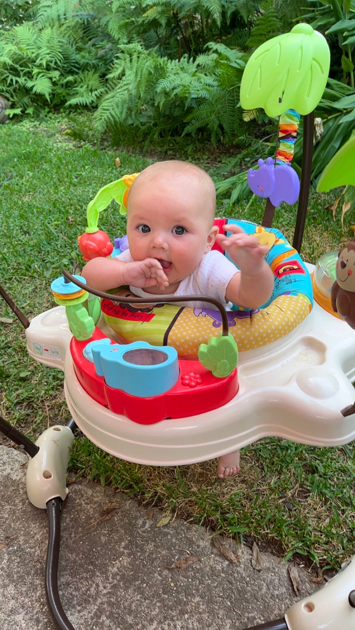 Griffin is registered to the contest to win money with this photo: baby, baby_products, baby_toddler_clothing, chair, child, fictional_character, fun, garden, grass, happy, leisure, outdoor_furniture, person, plant, play, recreation, sitting, smile, surprise, toddler
