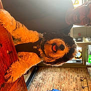 Woody joined the competition — help win amazing prizes! audio_equipment, eyewear, flooring, fun, glove, hardwood, heat, machine, metal, personal_protective_equipment, power_tool, room, shelf, tool, tree, trunk, varnish, wood, wood_flooring, wood_stain