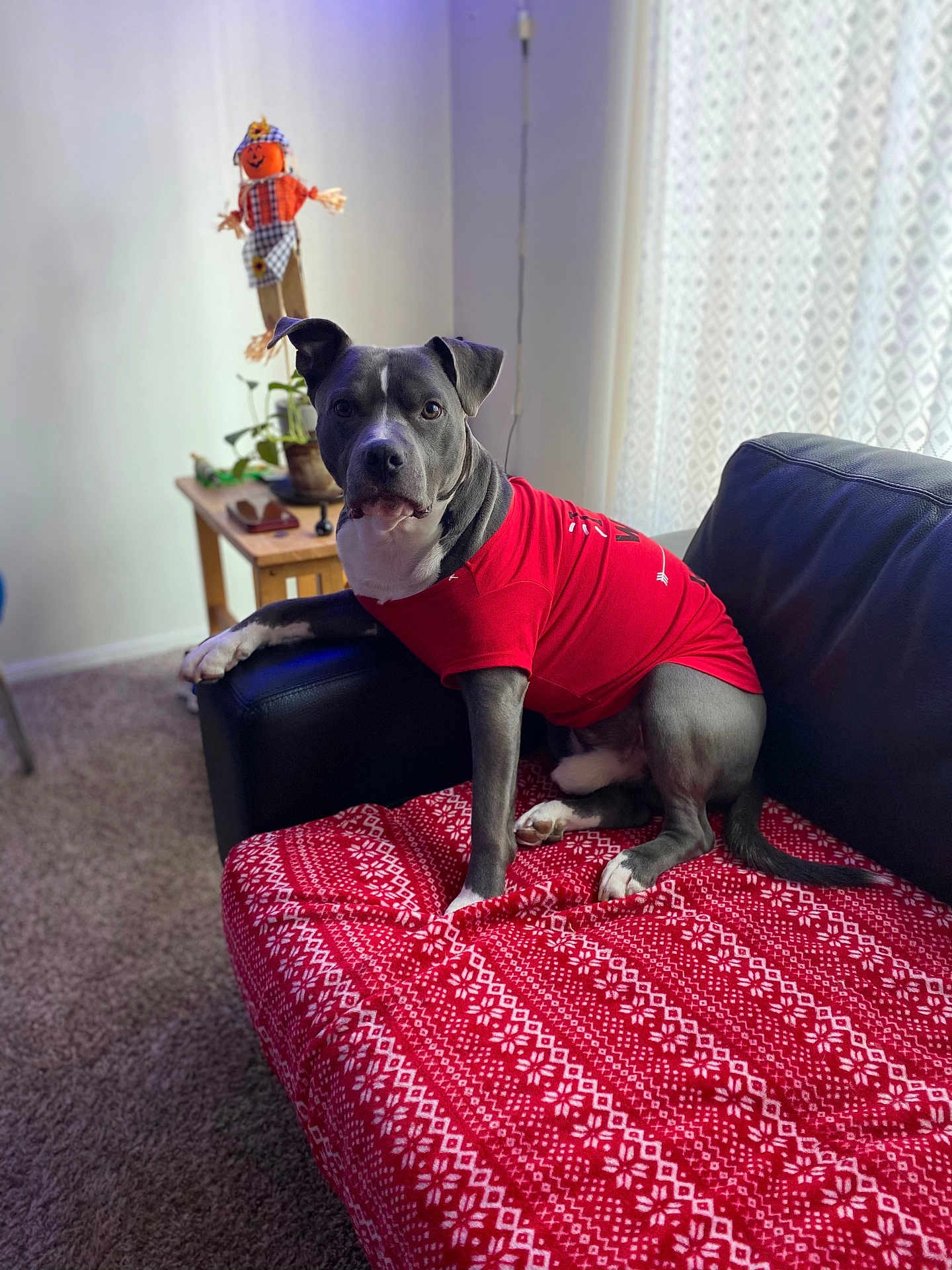 Roscoe