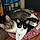 Stinky And Shorty