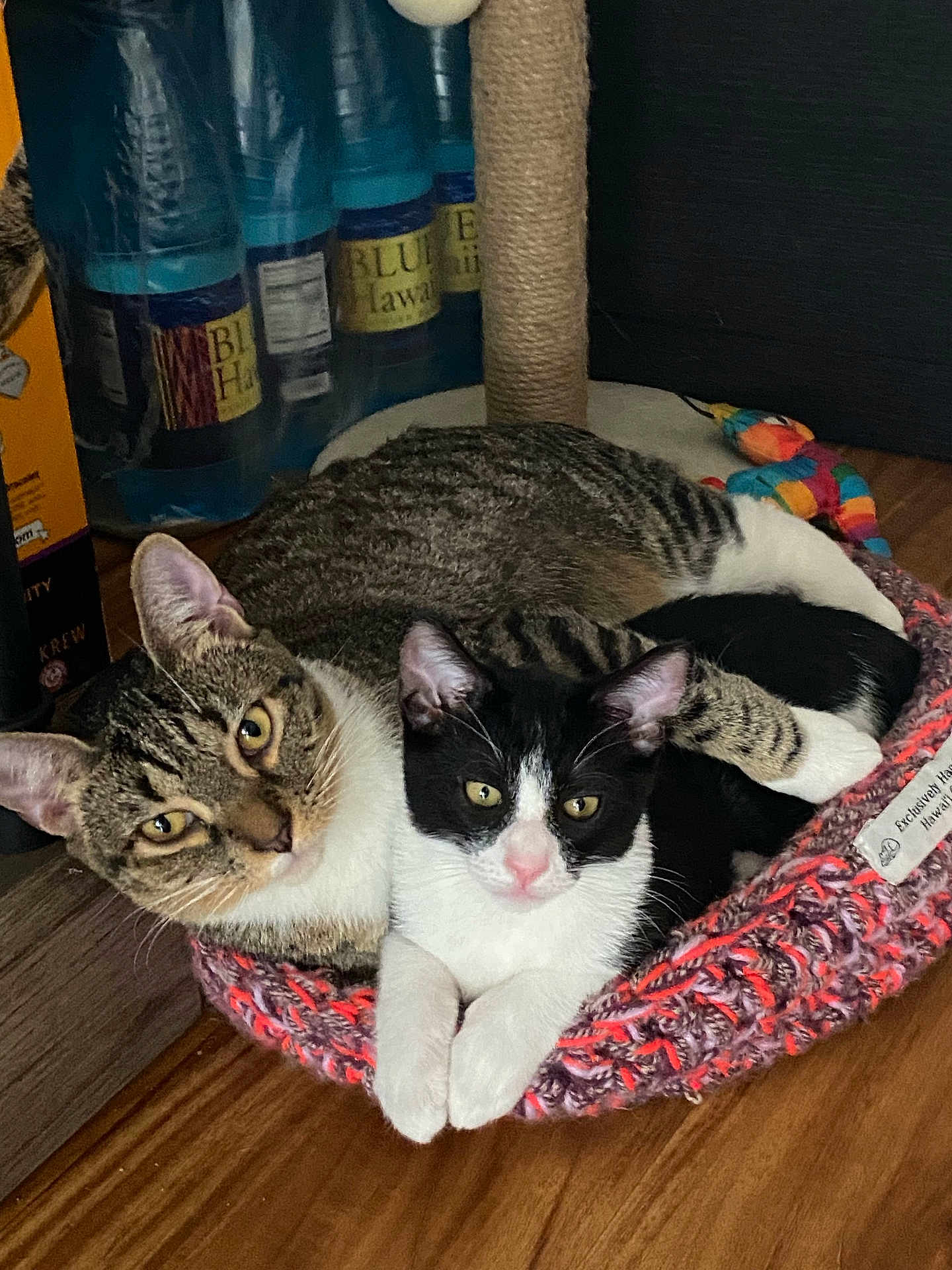 Stinky And Shorty