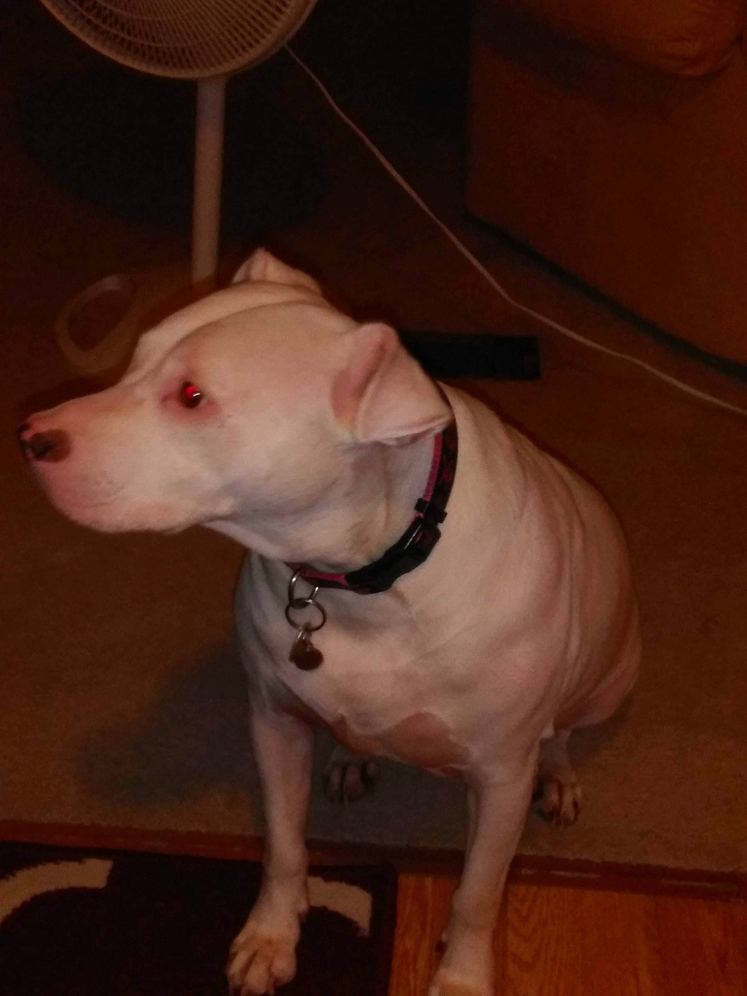 Coco