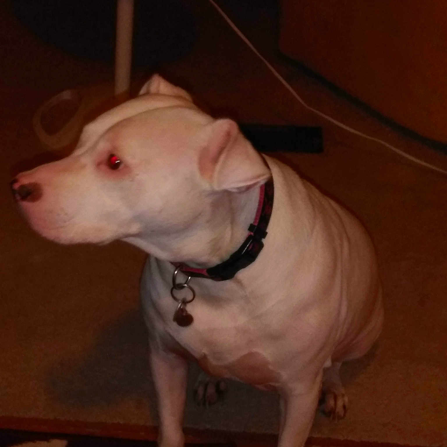 Coco