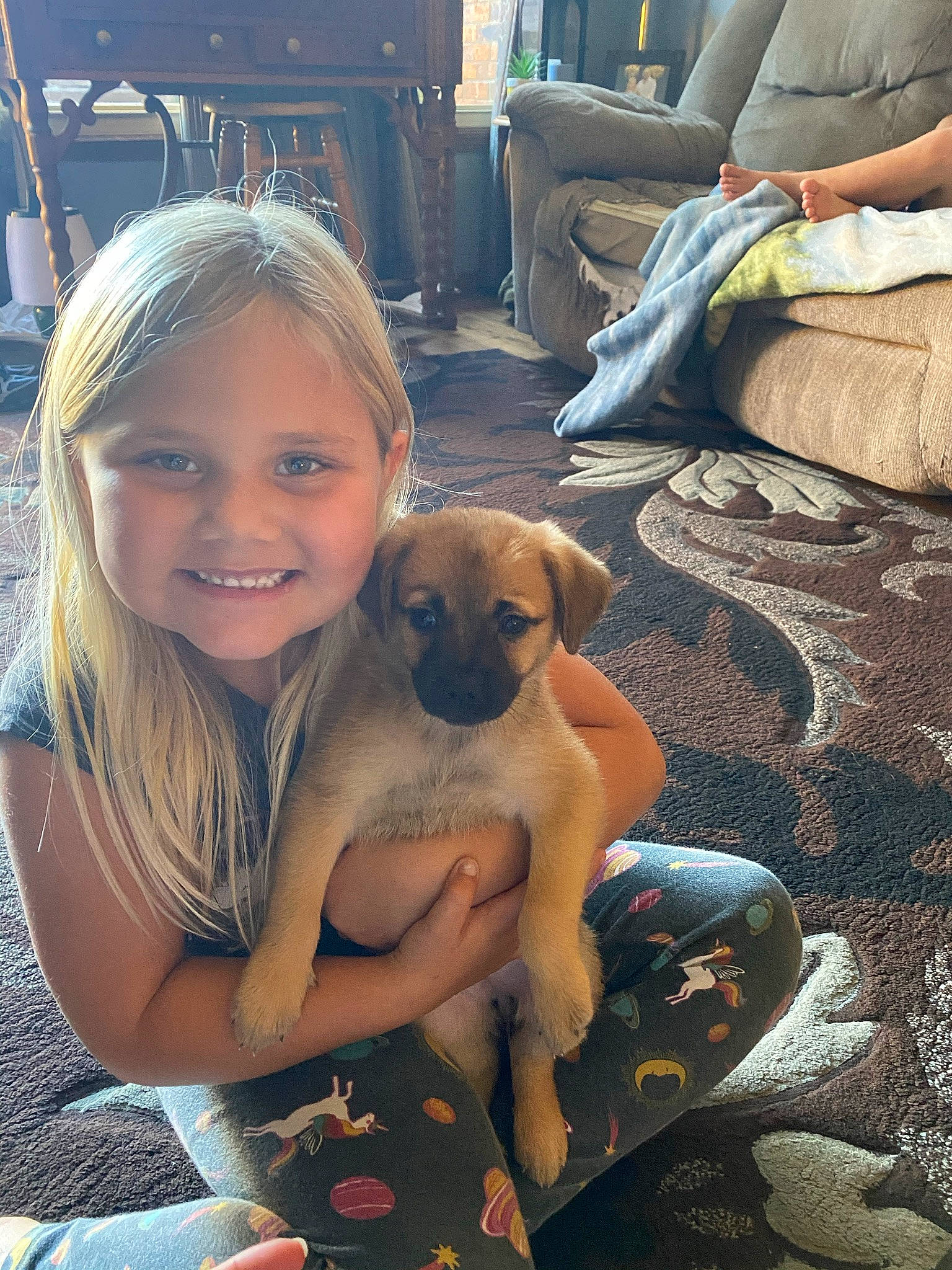 Milly is registered to the contest to win money with this photo: cabinetry, carnivore, chest_of_drawers, comfort, companion_dog, couch, dog, dog_breed, dog_supply, fawn, floor, flooring, joy, lamp, living_room, person, pillow, sitting, sporting_group, studio_couch